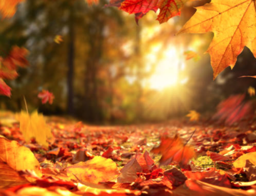 Your body changes as Autumn approaches,  here’s what you can do about it.